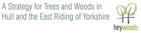 HEYwoods logo banner